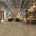 Audere By Montserrat Distressed Moderne Native Birch 9xrl 4 mm Engineered Hardwood European Oak