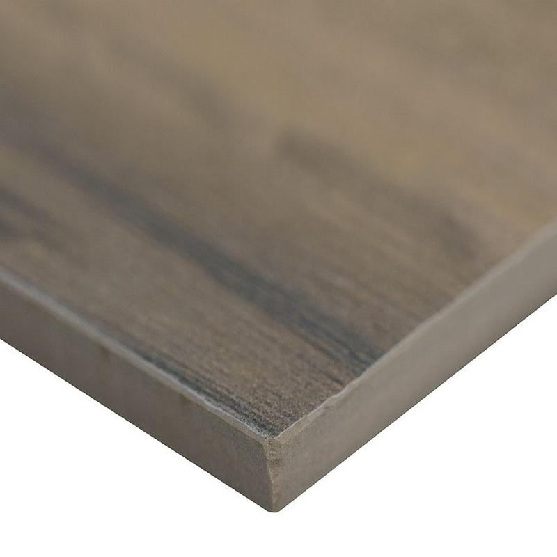 Botanica Hd Cashew Matte 6x24 Porcelain  Tile