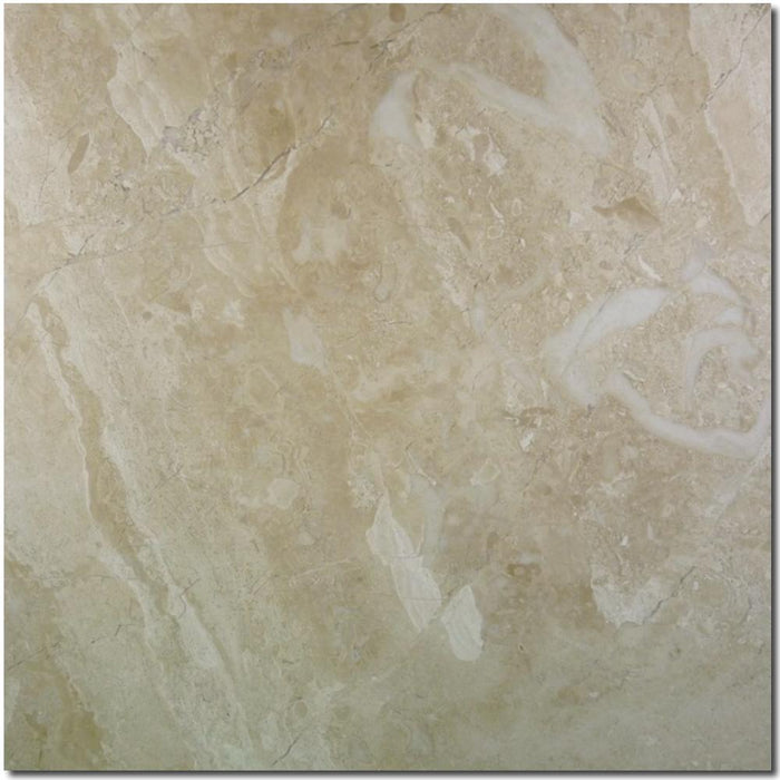 Breccia Bianco Marble Tile 24x24 Polished