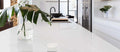 Calacatta Botanica 130x65 3 cm Polished Quartz Jumbo Slab