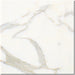 Calacatta Gold Marble Tile 12x12 Honed