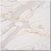 Calacatta Gold Marble Tile 12x12 Polished