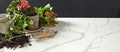 Calacatta Laza 108x42 2 cm Polished Quartz Prefab