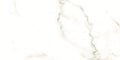 Calacatta Puro Matte 12x24 Porcelain  Tile