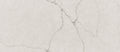 Calacatta Valentin 126x63 3 cm Polished Quartz Slab