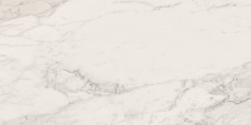 Carrara Select 2.0 Calacatta Renoire Matte 12x24 Porcelain  Tile