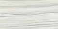 Carrara Select 2.0 Zebrino Polished 4x24 Porcelain Bullnose