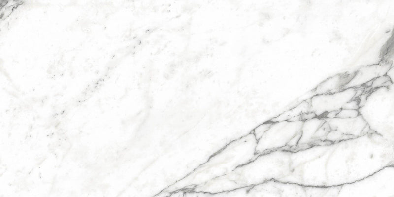 Carrara Select Arabescato Matte 12x24 Porcelain  Tile
