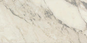 Carrara Select Arabescato Polished 24x48 Porcelain  Tile