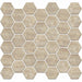 Carrara Select Paonazzo 2x2 Hexagon Polished Porcelain  Mosaic