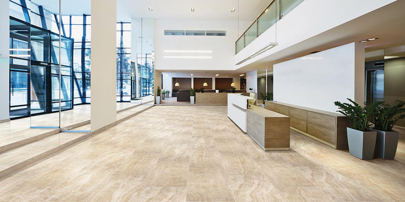 Carrara Select Paonazzo Polished 12x24 Porcelain  Tile