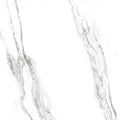 Carrara White Matte 24x24 Porcelain  Tile