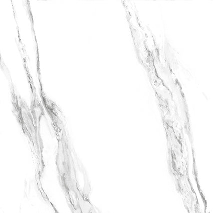 Carrara White Matte 24x24 Porcelain  Tile