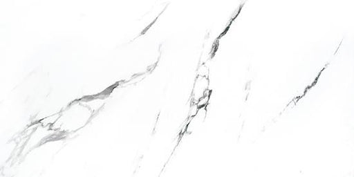 Carrara White Matte 24x48 Porcelain  Tile