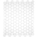 Cc Mosaics White 1x1 Hexagon Matte Porcelain  Mosaic