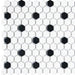 Cc Mosaics White Black 1x1 Hexagon Matte Porcelain  Mosaic