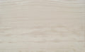 Solidshape Chenille Limestone Tile in White - 12x24 Honed Finish