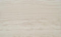 Chenille White Limestone Tile 3x8 Polished   3/8 inch