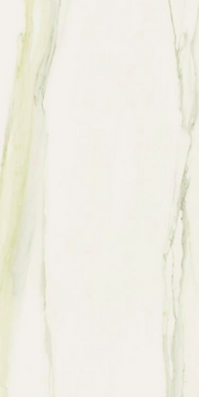 Classici Calacatta Gold Glossy 12x24 Porcelain  Tile