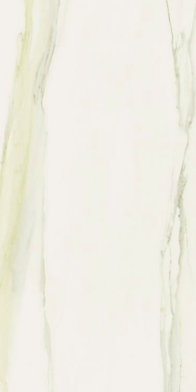 Classici Calacatta Gold Glossy 12x24 Porcelain  Tile