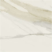 Classici Calacatta Gold Glossy 48x48 Porcelain  Tile