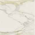 Classici Calacatta Gold Glossy 48x48 Porcelain  Tile