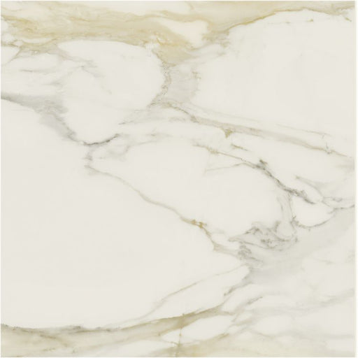 Classici Calacatta Gold Glossy 48x48 Porcelain  Tile