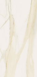Classici Calacatta Gold Matte 32x71 Porcelain  Tile