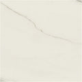 Classici Calacatta Gold Matte 48x48 Porcelain  Tile