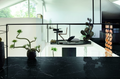 Classici Marquinia Glossy 12x24 Porcelain  Tile