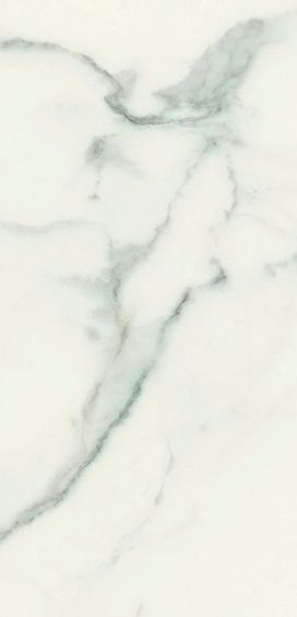 Classici Statuario Matte 12x24 Porcelain  Tile