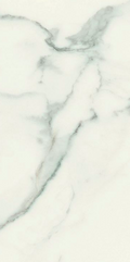 Classici Statuario Matte 24x48 Porcelain  Tile