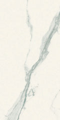 Classici Statuario Matte 24x48 Porcelain  Tile