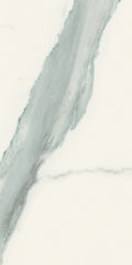 Classici Statuario Matte 24x48 Porcelain  Tile