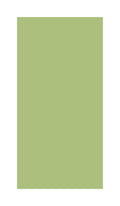 Color Spring Green Glossy 3x6 Ceramic  Tile