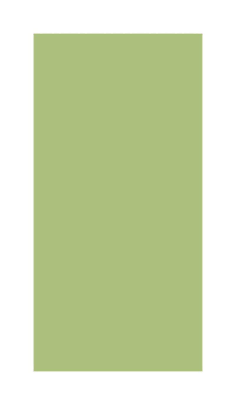 Color Spring Green Glossy 3x6 Ceramic  Tile