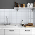 Color White Ice Matte 6x6 Ceramic  Tile