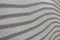 Contact Grey Matte 12x36 Ceramic  Tile