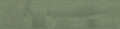 Cosmopolitan Safari Green Deco Glossy 4x16 Ceramic  Tile