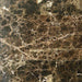 Dark Emprador Marble Tile 12x24 Polished