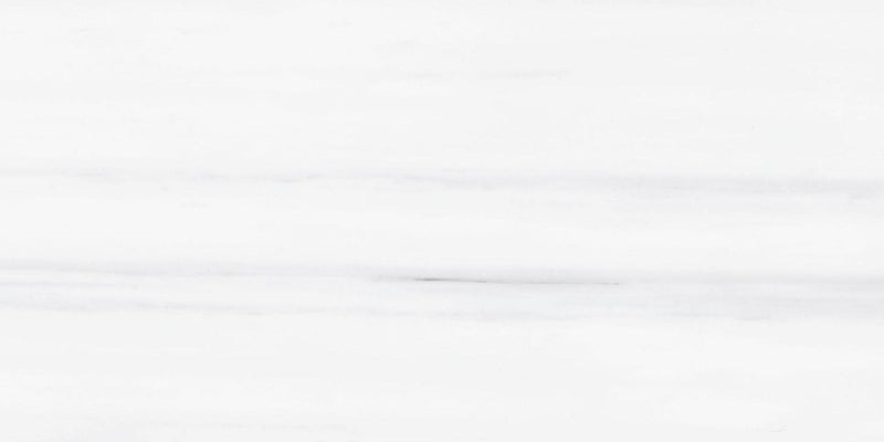 Dolomite White Marble Tile 12x24 Honed