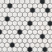Domino Black And White 1x1 Hexagon Matte Porcelain  Mosaic