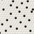 Domino White And Black Pennyround Glossy Porcelain  Mosaic