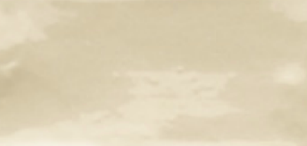Dreamtile Wave Caramel Glossy 0.5x8 Ceramic Coprifillo