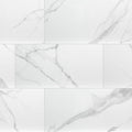 Dymo Statuary Glossy 12x24 Ceramic  Tile