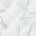 Dymo Statuary Glossy 12x24 Ceramic  Tile