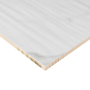 Dymo Statuary Stripe White Glossy 12x24 Ceramic  Tile