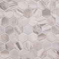 Eden Bardiglio 2x2 Hexagon Matte Porcelain  Mosaic