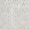 Eden Dolomite 2x2 Hexagon Matte Porcelain  Mosaic