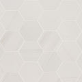 Eden Dolomite 3x3 Hexagon Matte Porcelain  Mosaic